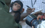 monkey interviews.png